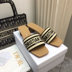 Christian Dior Slippers